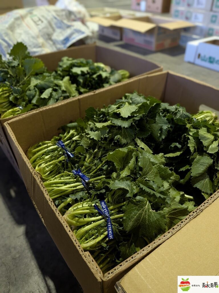 競り場のゆき菜