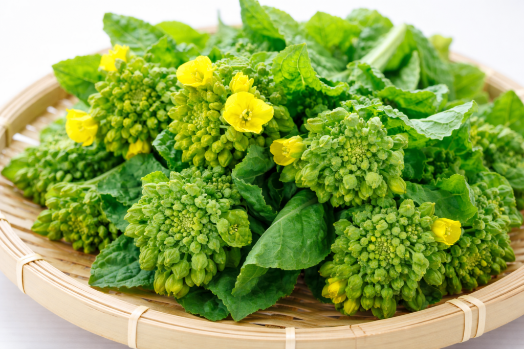 菜花（なばな）のつぼみと葉