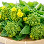 菜花（なばな）のつぼみと葉