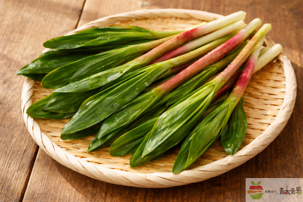 行者にんにく 山菜 春 食材 竹ざる