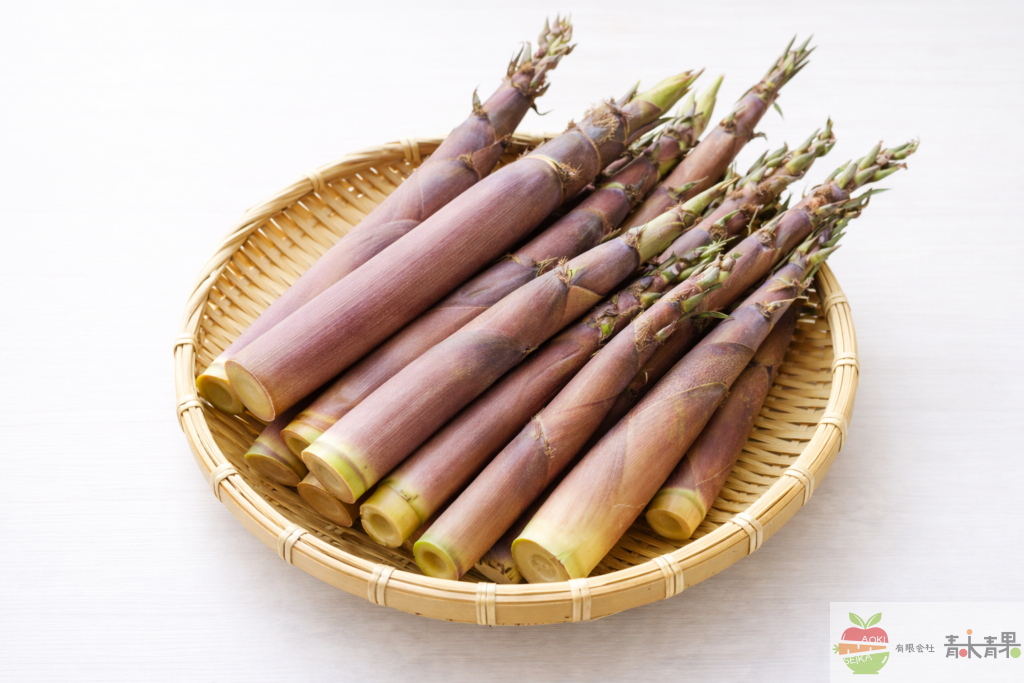 淡竹（破竹）の筍の写真｜アクの少ないたけのこ