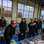 長野の青果市場で行われるりんごの競売