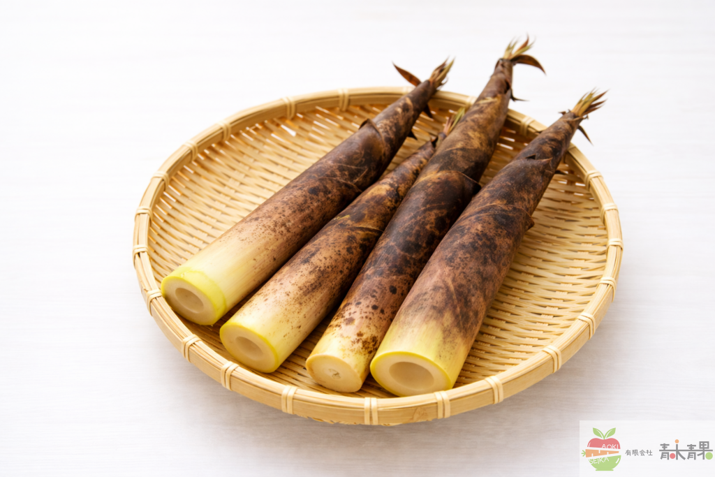 真竹の筍の写真｜初夏に旬を迎えるたけのこ