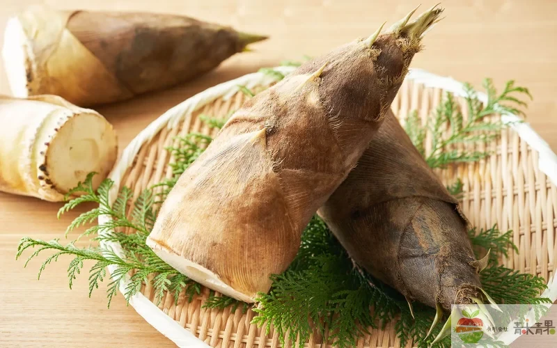 孟宗竹の筍の写真｜春が旬のたけのこ