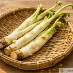 長野県産の山うどを竹ざるに並べた春の山菜