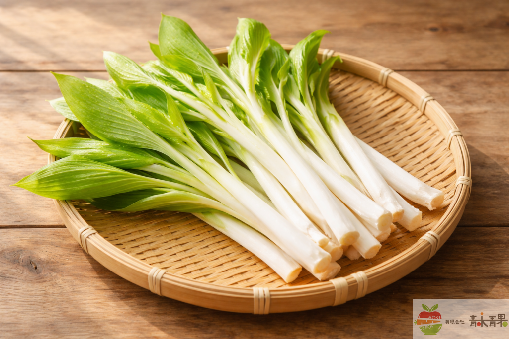うるい 長野 野菜 仕入れ 山菜 旬 食材