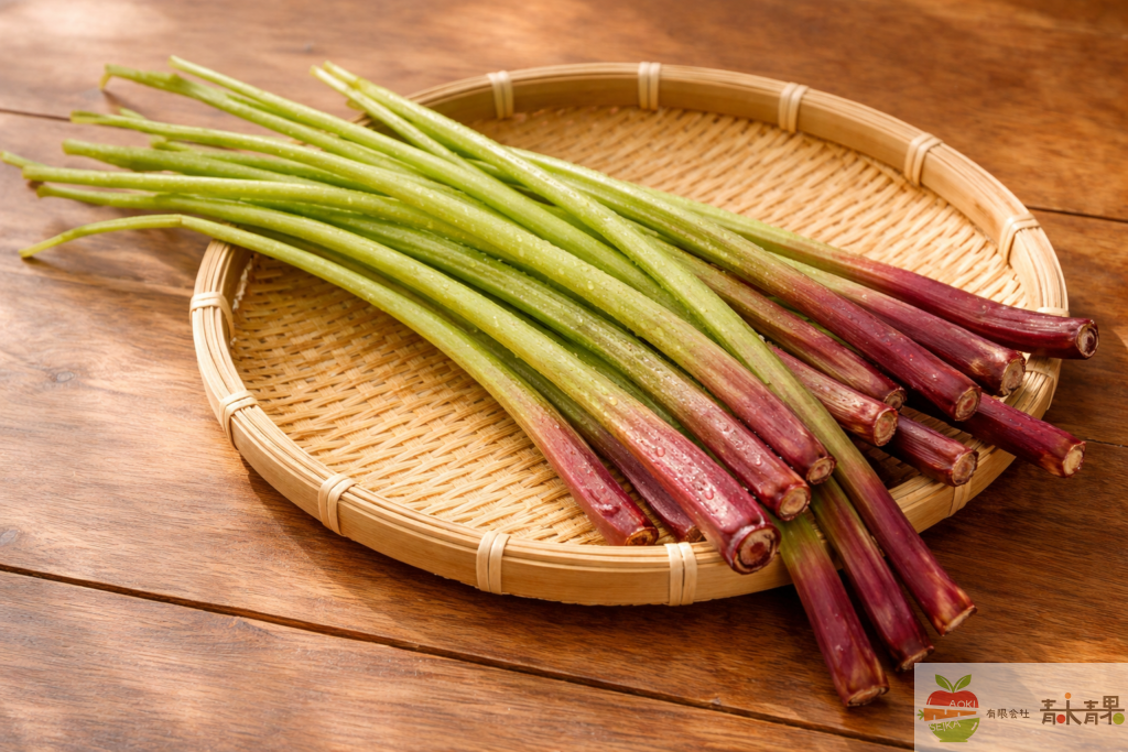 山蕗の特徴 赤みのある細い茎と香りの強いふき