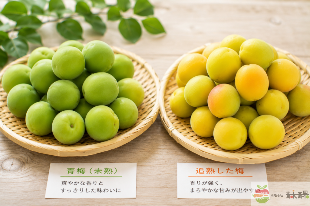 「追熟した梅でも作れる？」の直後