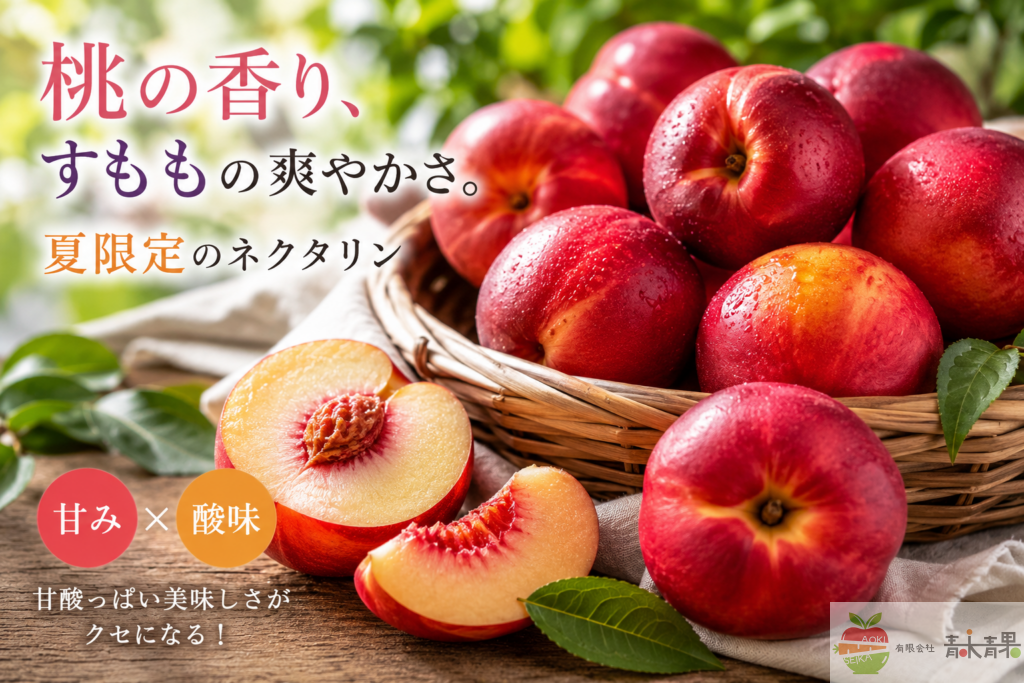 長野県産ネクタリンとカットした果実。桃の香りと爽やかな酸味が特徴の夏の果物。