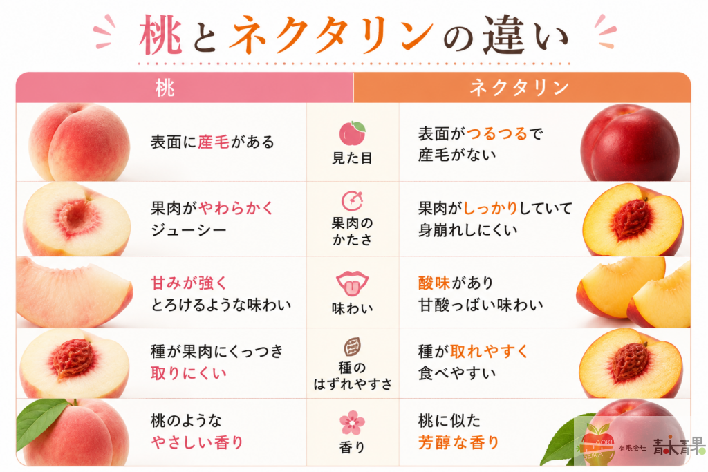 桃とネクタリンの違いを比較した図。見た目や味、食感の違いを解説。
