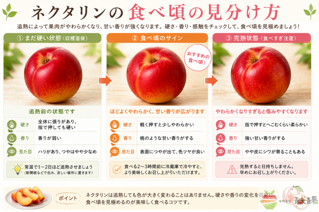 ネクタリンの食べ頃を硬さや香りの変化で紹介したイメージ。